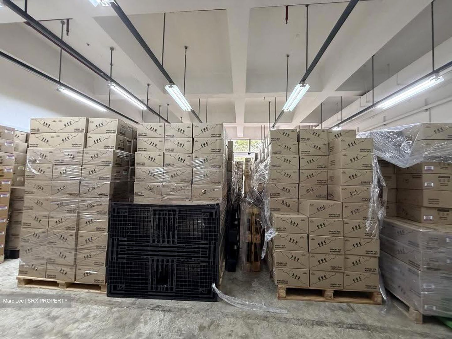 Citipoint Industrial Complex (D14), Factory #624905701
